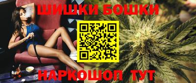 мдпв Нальчик