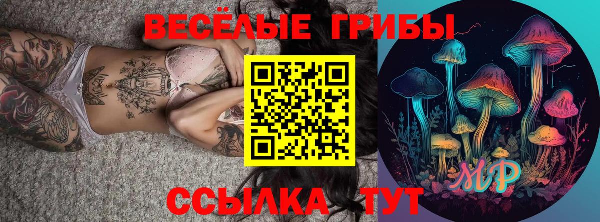 Псилоцибиновые грибы мицелий Семёнов