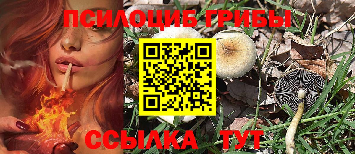 Псилоцибиновые грибы GOLDEN TEACHER  Галлюциногенные грибы прущие грибы  Семёнов  Вход с VPN 